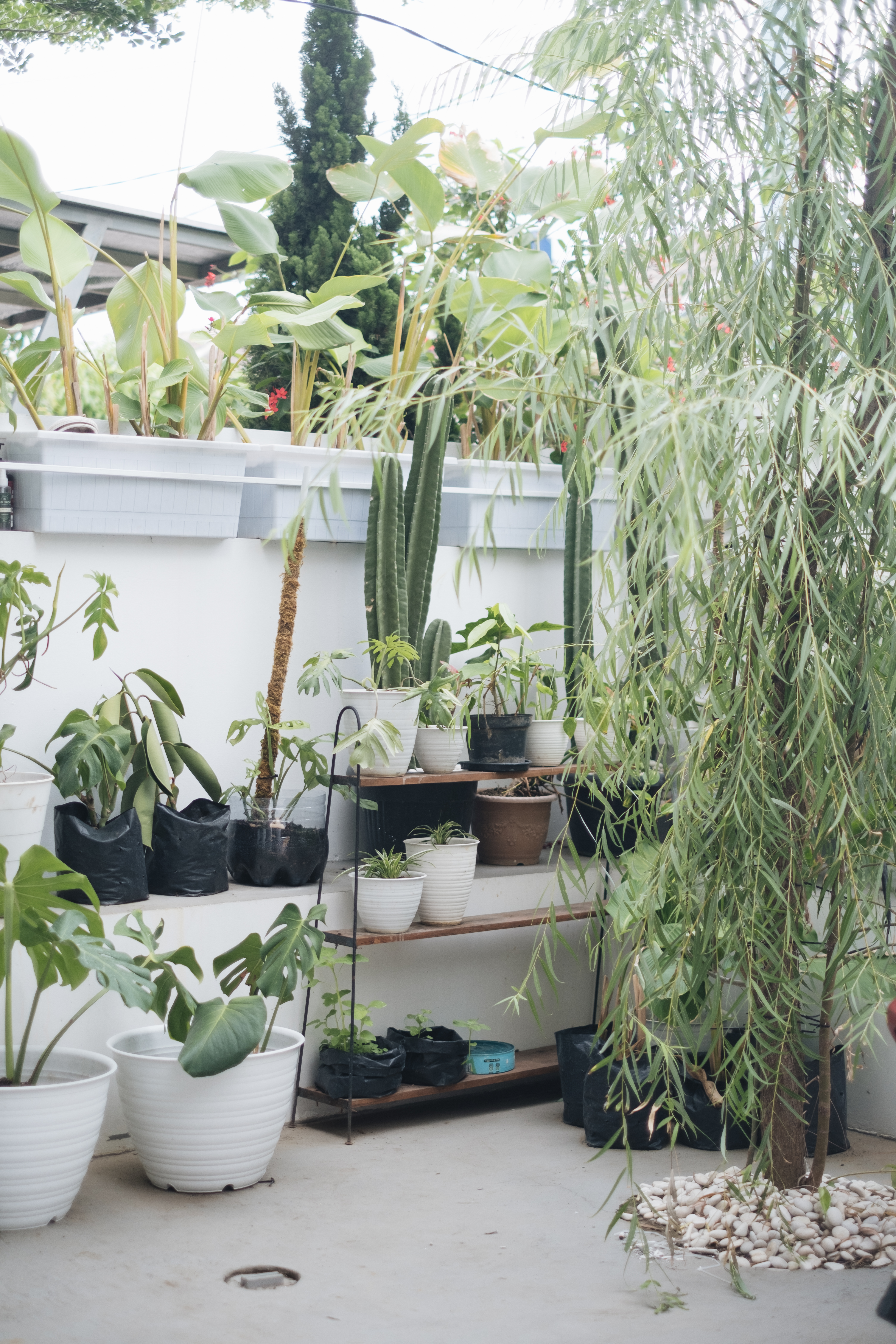 taman teras rumah project RB 096